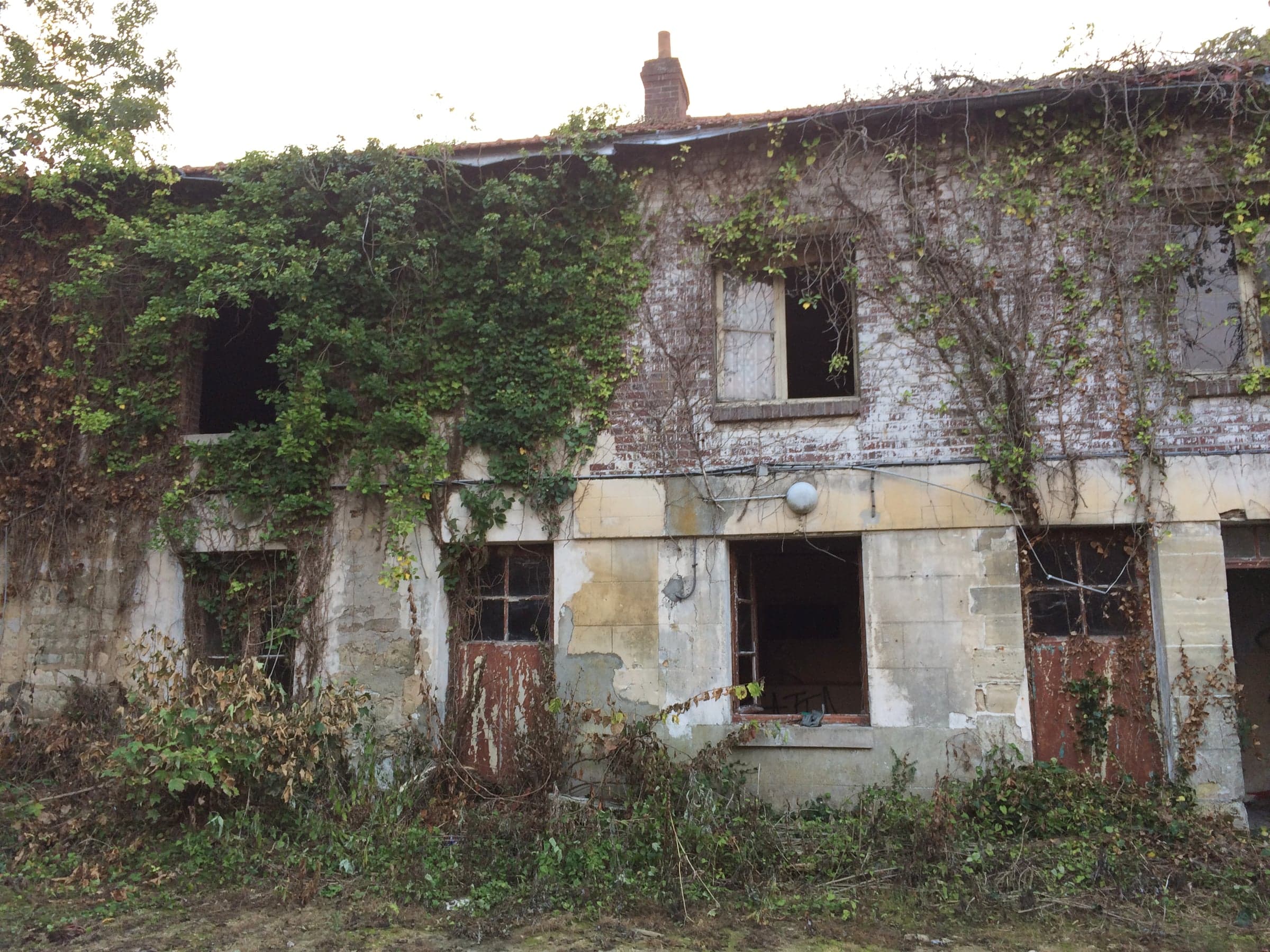 Avant travaux : façade de maison ancienne en pierre et brique, envahie par la végétation, avec ouvertures dégradées et enduits altérés.
